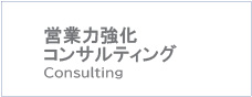 営業力強化コンサルティング Consulting